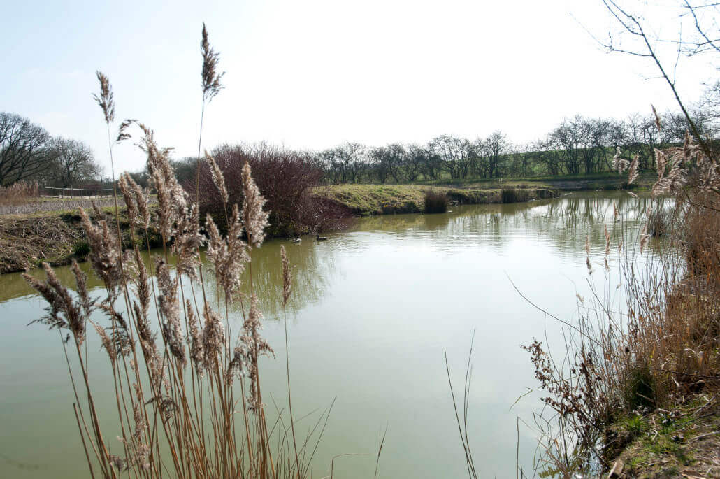 Scenery shot of lake