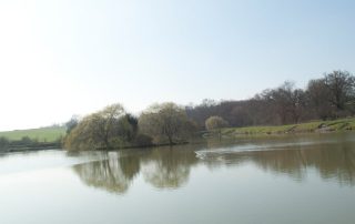Picture of main lake