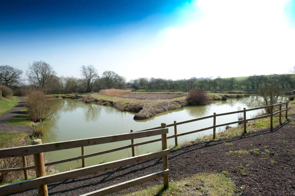 Photo of a small lake